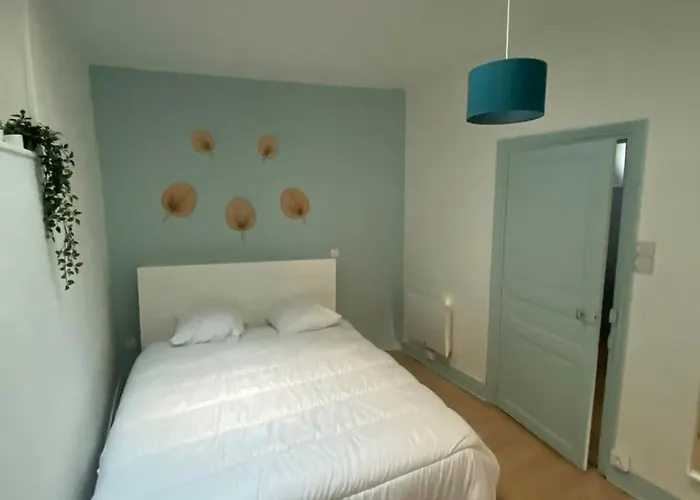 شقة New T2 Salins كليرمونت-فيراند